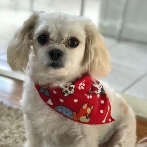 Meet your Posher, Claudia